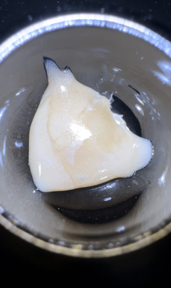 🥭Mango Mints #11 Live Rosin：圖片 10