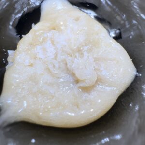 🥭Mango Mints #11 Live Rosin